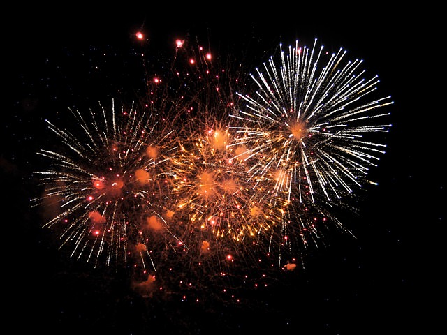 fireworks 1880045 640